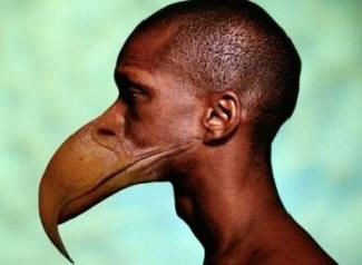 Umjesto zuba, ljudi će imati kljun.