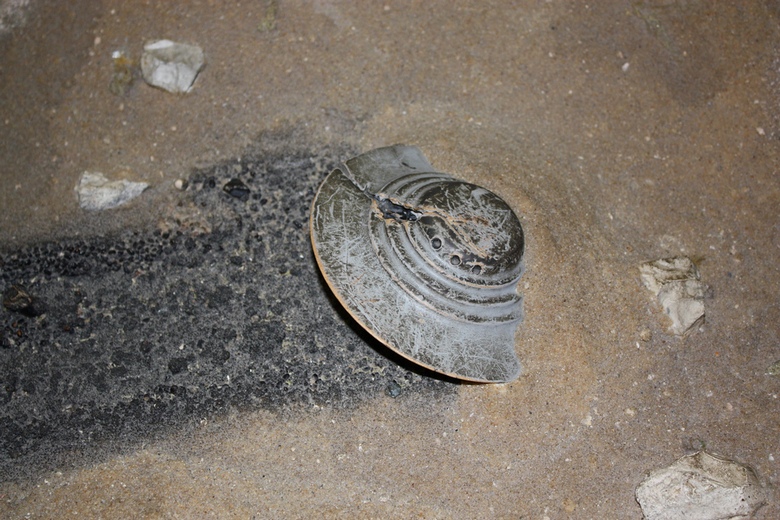 Prva kapsula o NLO-ima