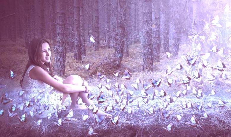 Mladić zaljubljen u leptire nakon smrti šalje pozdrave kroz njih svojoj sestri