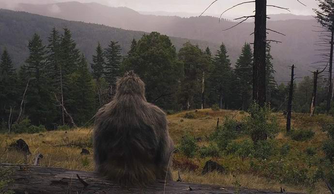 Za hvatanje snežnog čoveka obećao milion dolara