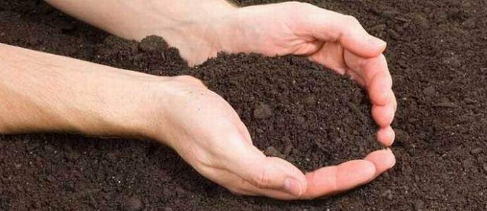 Zašto vanzemaljci kradu zemlju od zemljanika