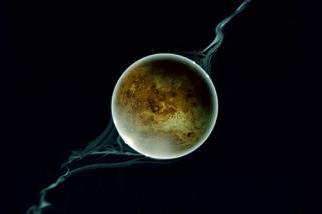 Zašto je Zemlja oteli Mjesec sa Venere?