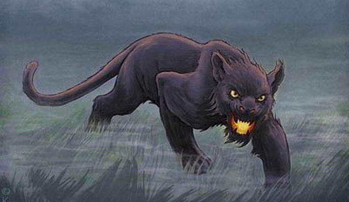 Misterija misteriozne Bodmin zvijeri razriješena?