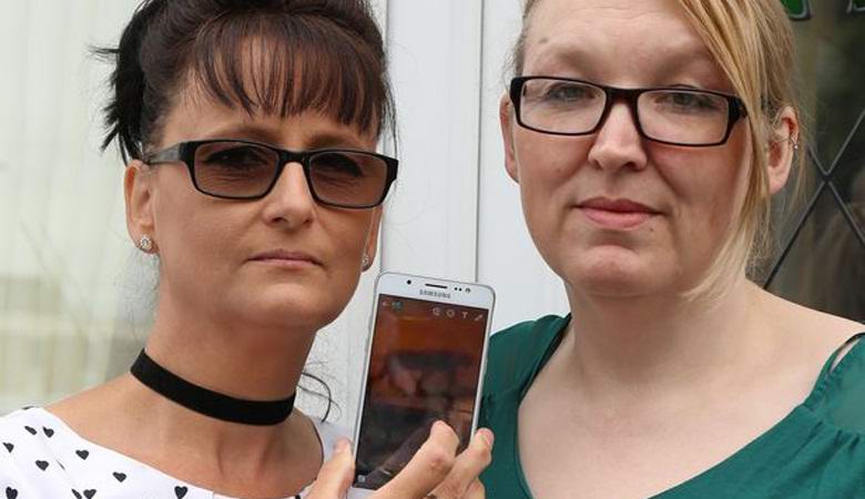 Tajanstvena mačka se našla na nadzornoj kameri