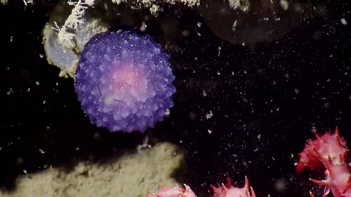 Tajanstvena blistava sfera