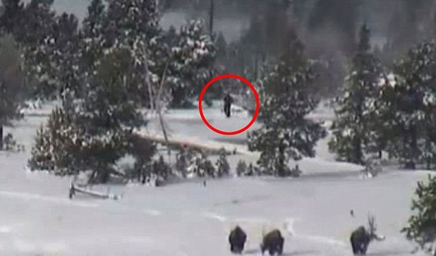 Tajanstveni Yeti - Tajanstveni u svemu