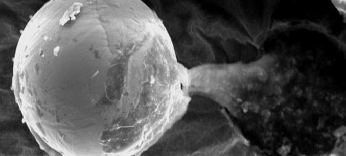 Tajanstveni predmet otkriven na istraživačkoj sondi