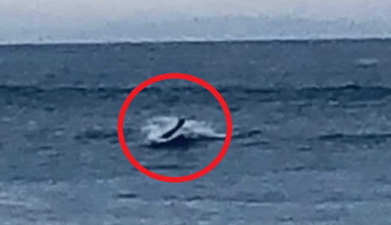 Tajanstveno humanoidno stvorenje pojavilo se iz vode u Kaliforniji.