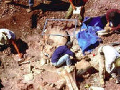 Zabranjena arheologija