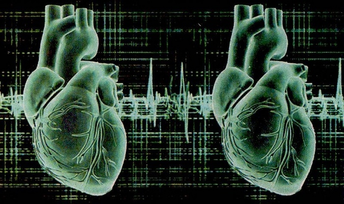 Rođenje nove rase - imati dva srca
