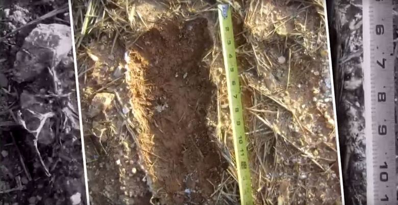 Žena iz Sjeverne Karoline tvrdi da periodično ima velika stopala u svom dvorištu.