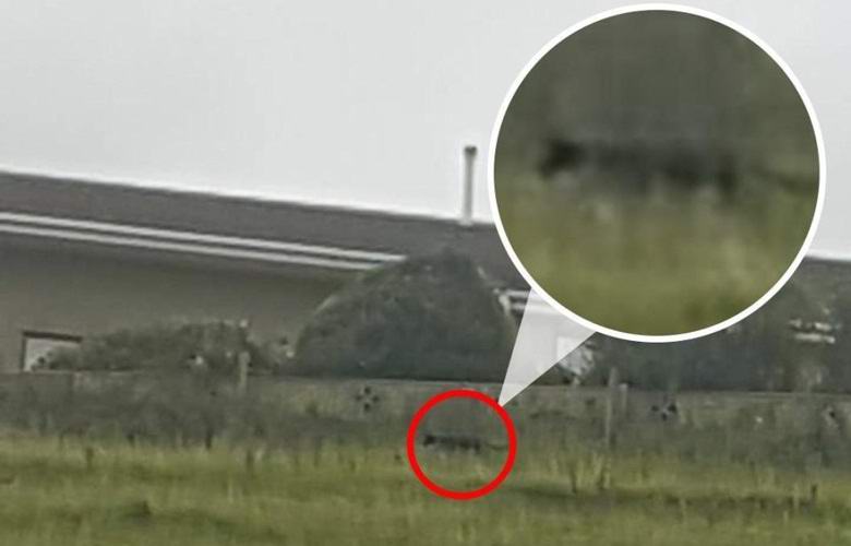 Žena je tri puta fotografirala mitsku Zvijer od Kumbrije