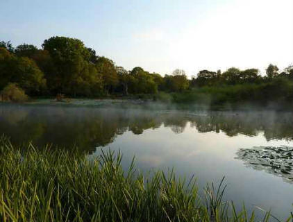 Stanovnike Sautemptona uznemiruju čudni zvukovi