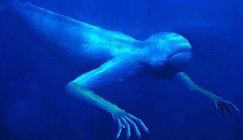 Strašna bića žive u vodenim kanalima Birminghama